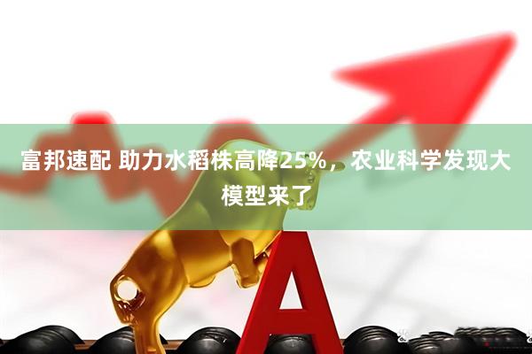 富邦速配 助力水稻株高降25%，农业科学发现大模型来了