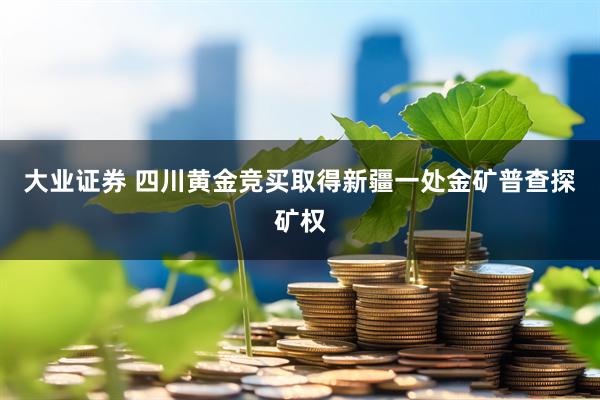 大业证券 四川黄金竞买取得新疆一处金矿普查探矿权