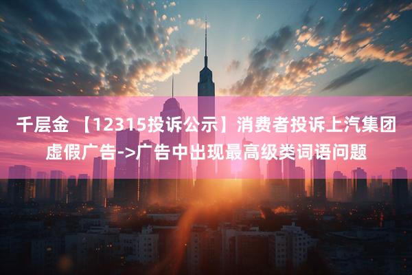 千层金 【12315投诉公示】消费者投诉上汽集团虚假广告->广告中出现最高级类词语问题