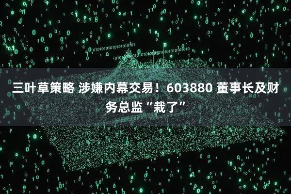 三叶草策略 涉嫌内幕交易！603880 董事长及财务总监“栽了”