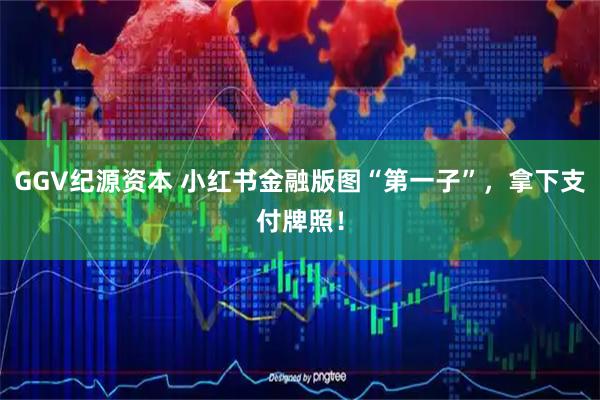 GGV纪源资本 小红书金融版图“第一子”，拿下支付牌照！